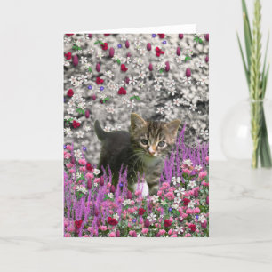 Emma i blommor mig - lite grå kattunge kort