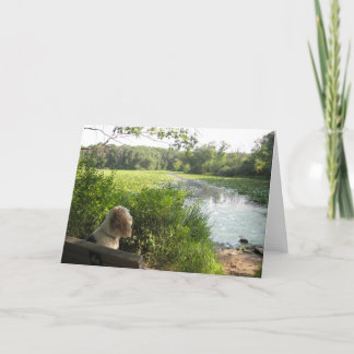 Emma reflekterande kort