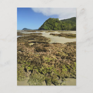 Emmagen Beach, Daintree National Park (UNESCO) Vykort