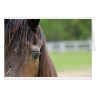 Emma's Öga OBS Kort