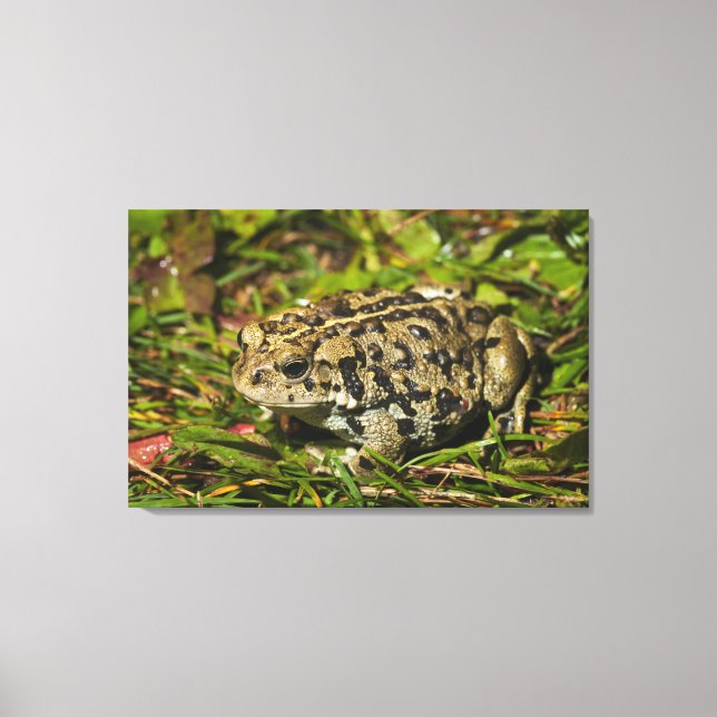 emmonton, alberta, kanada 2 canvastryck (Framsida)