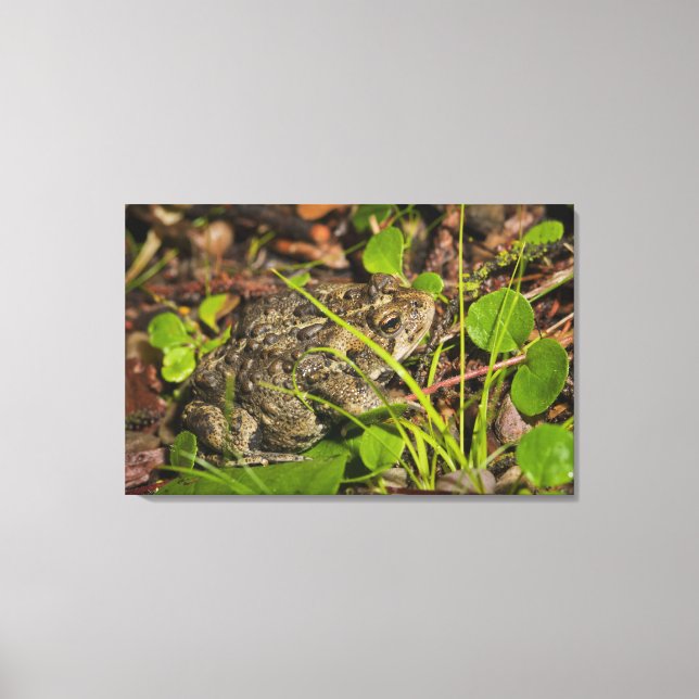 emmonton, alberta, kanada canvastryck (Framsida)