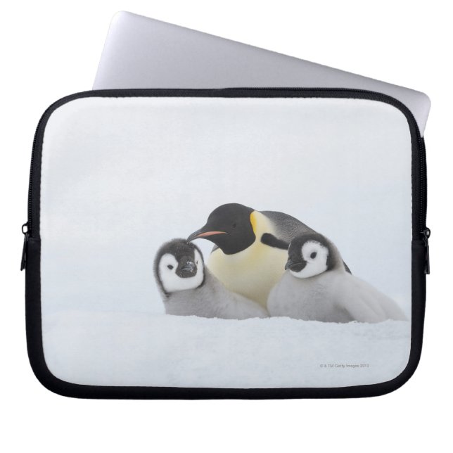 Emperor Penguin (Aptenodytes forsteri) 2 Laptop Fodral (Framsidan)
