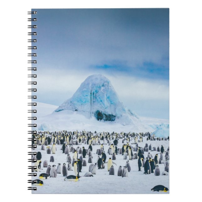 Emperor Penguin Colony Anteckningsbok (Framsidan)