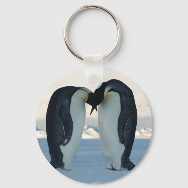 Emperor Penguin Courtship Nyckelring (Framsida)