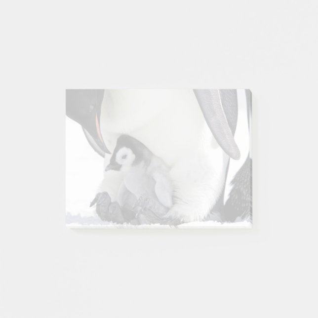 Emperor Penguin| ön Snö Backe Post-it Block (Framsida)