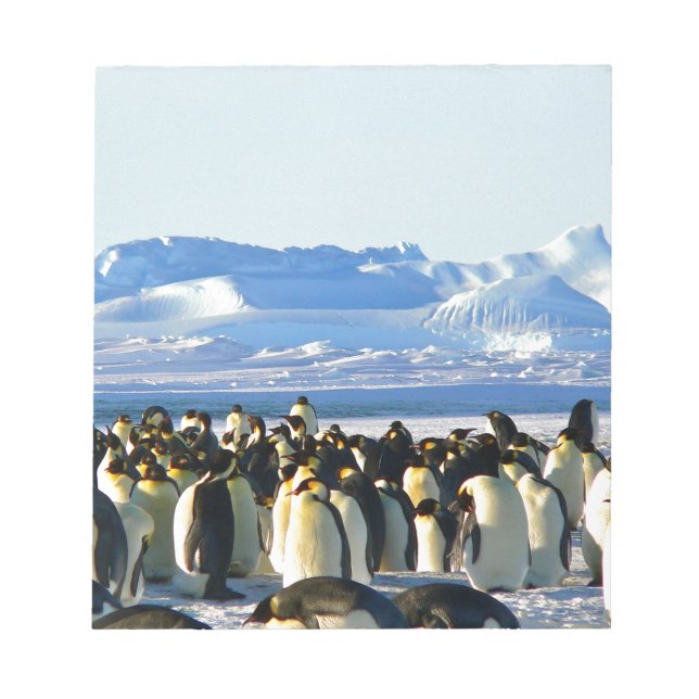 Emperor penguins anteckningsblock (Framsida)