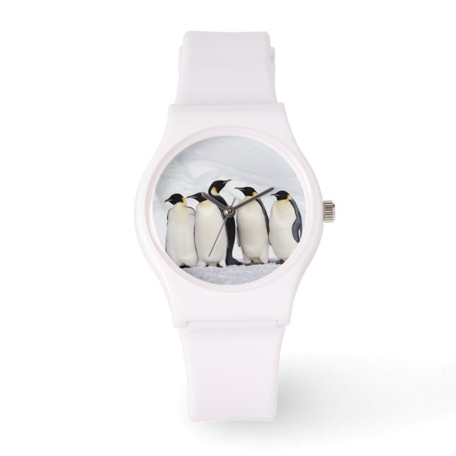 Emperor Penguins Armbandsur (Framsida)