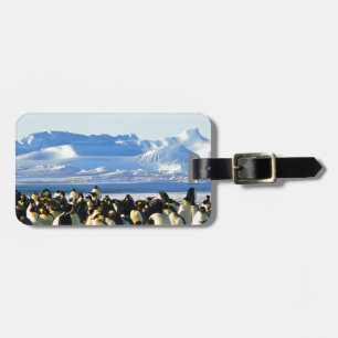 Emperor penguins bagagebricka