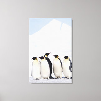 Emperor Penguins Canvastryck