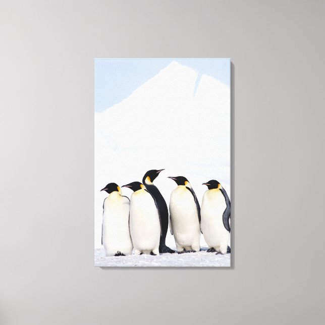 Emperor Penguins Canvastryck (Framsida)