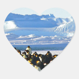 Emperor penguins hjärtformat klistermärke