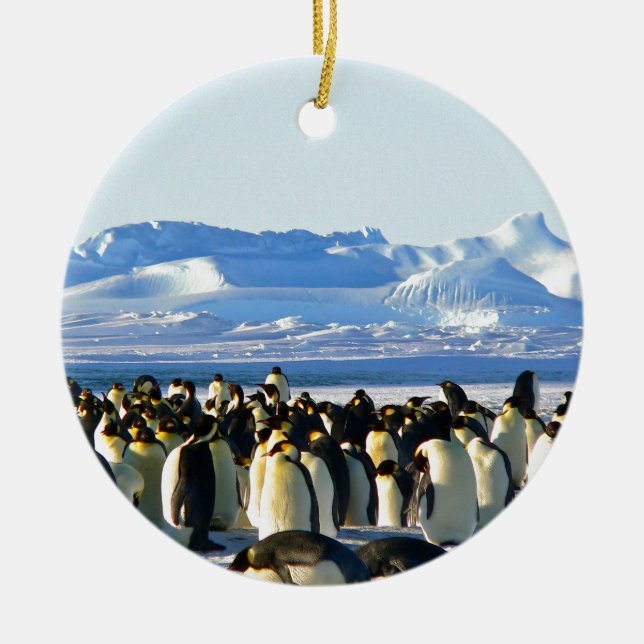 Emperor penguins julgransprydnad keramik (Framsidan)
