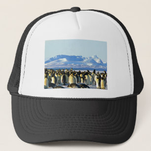 Emperor penguins keps