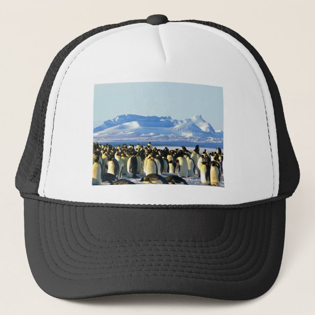 Emperor penguins keps (Framsida)