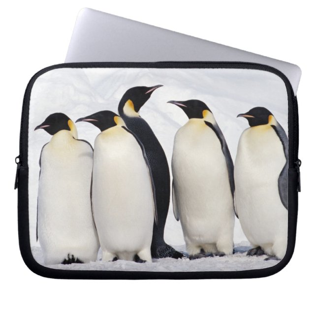 Emperor Penguins Laptop Sleeve (Framsidan)