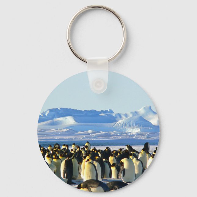Emperor penguins nyckelring (Framsida)