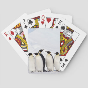 Emperor Penguins Spel Kort