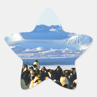 Emperor penguins stjärnformat klistermärke
