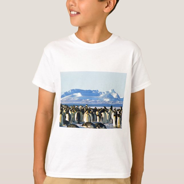 Emperor penguins t-shirt (Framsida)