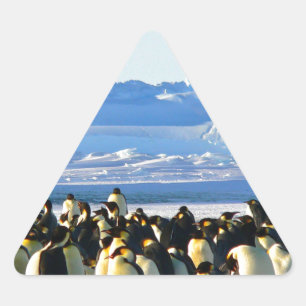 Emperor penguins triangelformat klistermärke