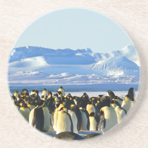 Emperor penguins underlägg
