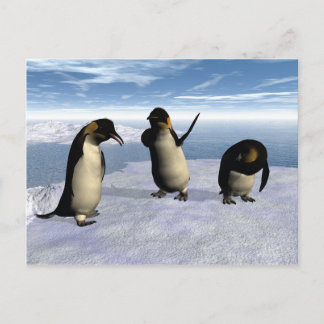 Emperor Penguins Vykort
