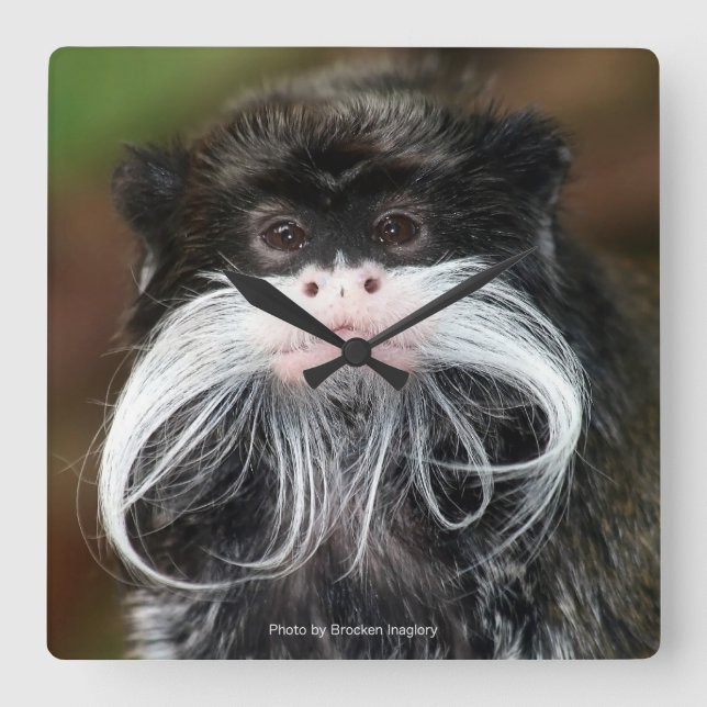 Emperor Tamarin Fyrkantig Klocka (Framsida)