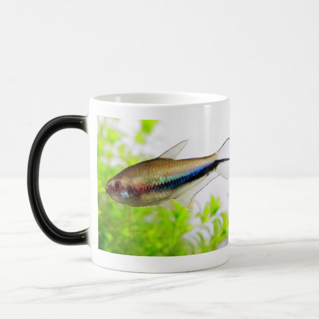 Emperor tetra magisk mugg (Vänster)