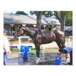 Empire Stakes Winner ’Saratoga Snacks’ Fototryck
