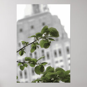 Empire state i New York Poster