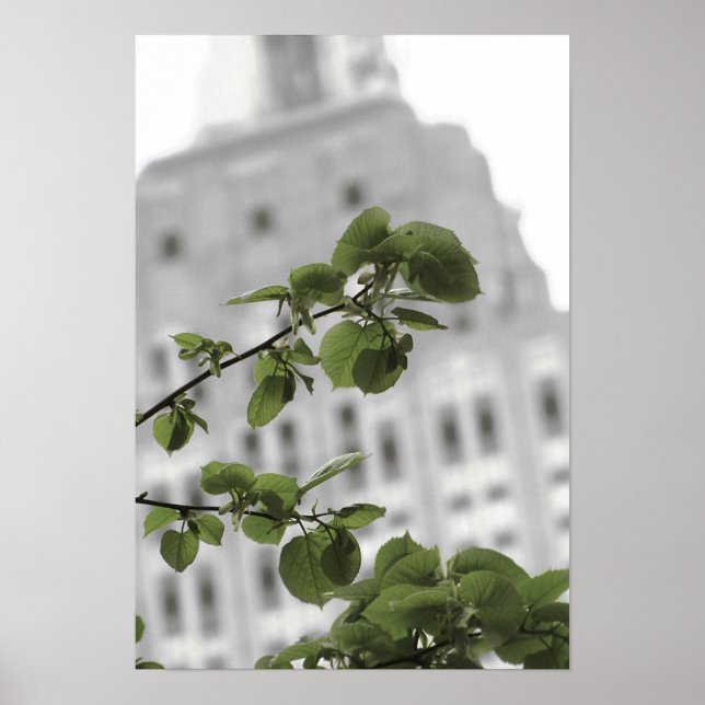 Empire state i New York Poster (Framsidan)