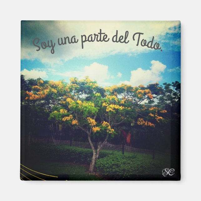 empoderamiento magnet (Framsidan)