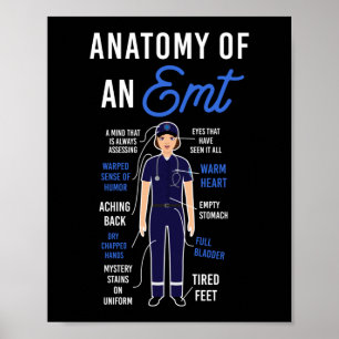 EMS-Akutets anatomi hos en EMT Poster