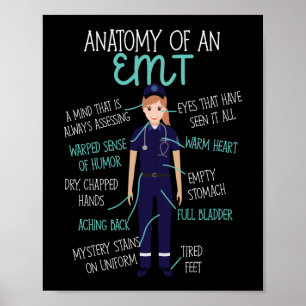 EMS-Akutets anatomi hos en EMT Poster