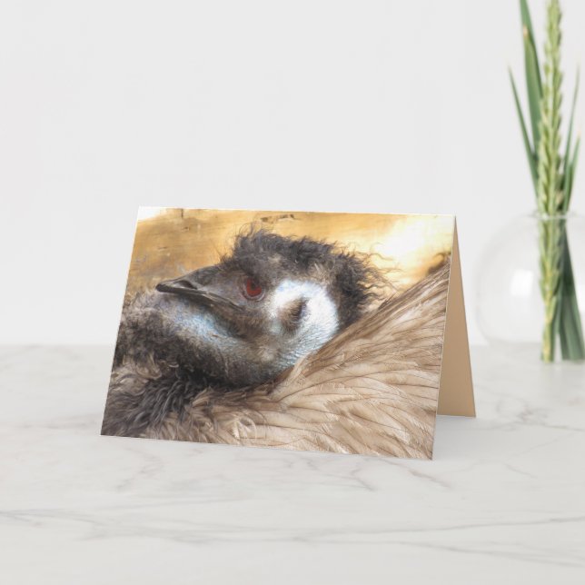 Emu Bird Greeting Card Kort (Framsida)