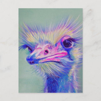 Emu bird vykort