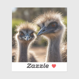 Emu Birds Klistermärken