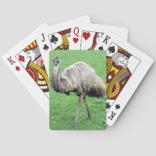 emu casinokort