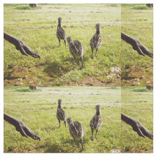 Emu-Chickar med Emu Big Foot. Tyg