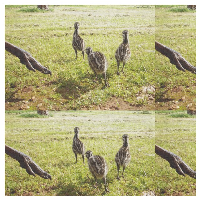 Emu-Chickar med EMU Big Foot, Tyg (Närbild)