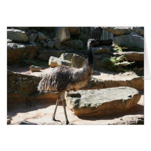 emu hälsningskort