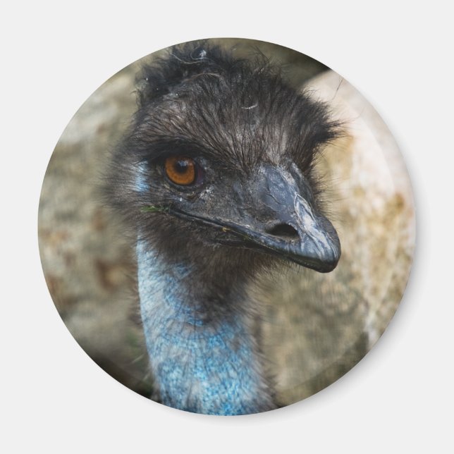Emu Head Magnet (Framsidan)
