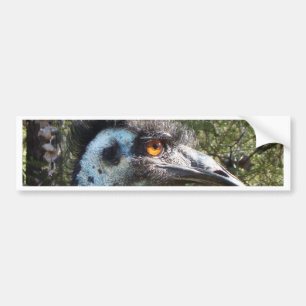 Emu i Australien Bildekal
