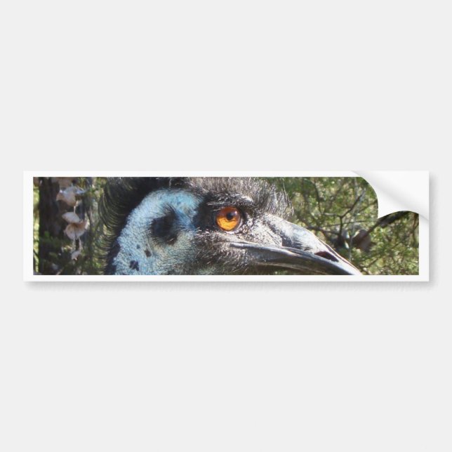 Emu i Australien Bildekal (Framsidan)