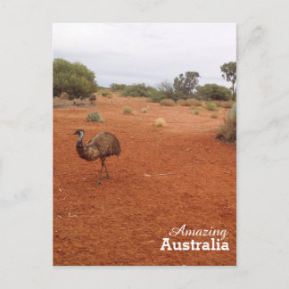 Emu i australiskt vykort