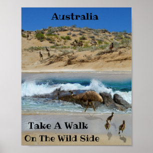 Emu Island Australia Poster