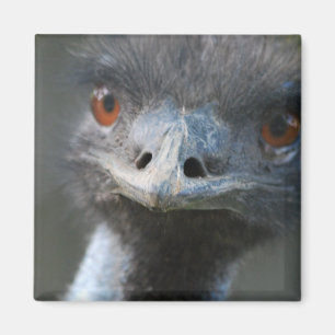 Emu Magnet