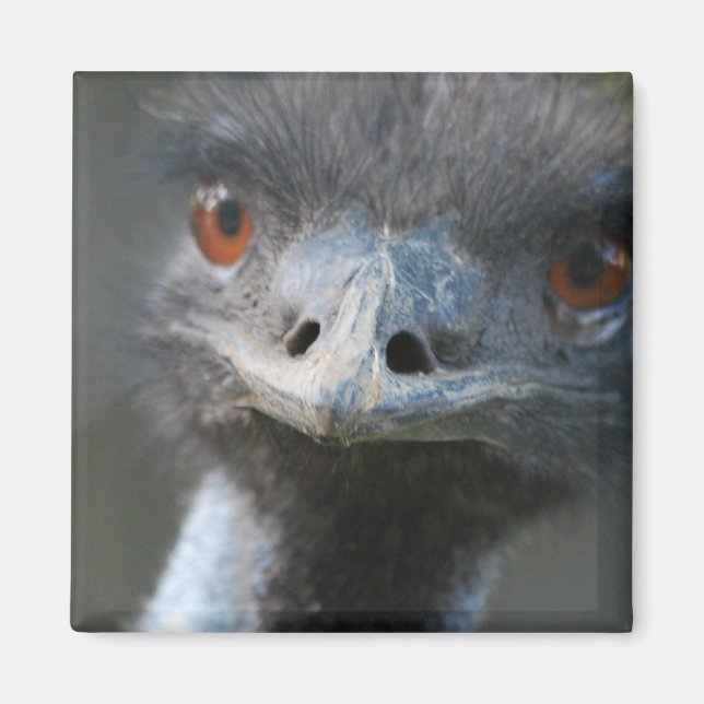 Emu Magnet (Framsidan)