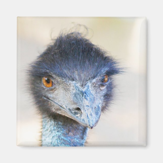 Emu Magnet (Framsidan)
